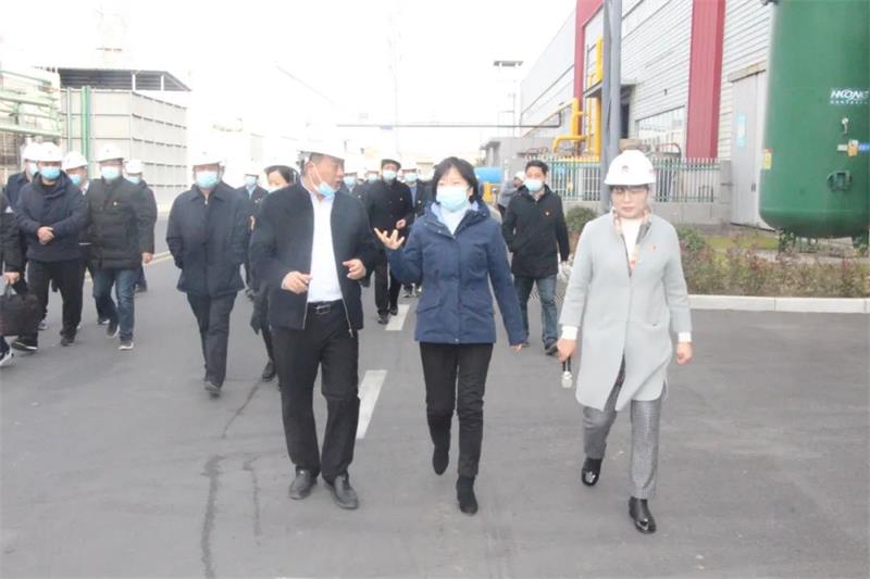 鞏義市“兩新”黨建觀摩團到明泰鋁業(yè)觀摩指導(dǎo)黨建工作