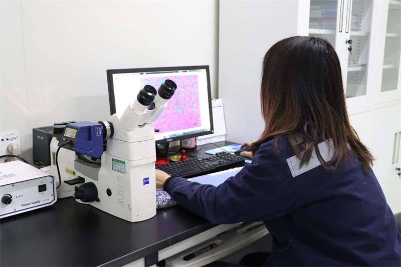 綠色智造，引領(lǐng)未來！明泰鋁業(yè)產(chǎn)品結(jié)構(gòu)升級與再生鋁戰(zhàn)略深化之路